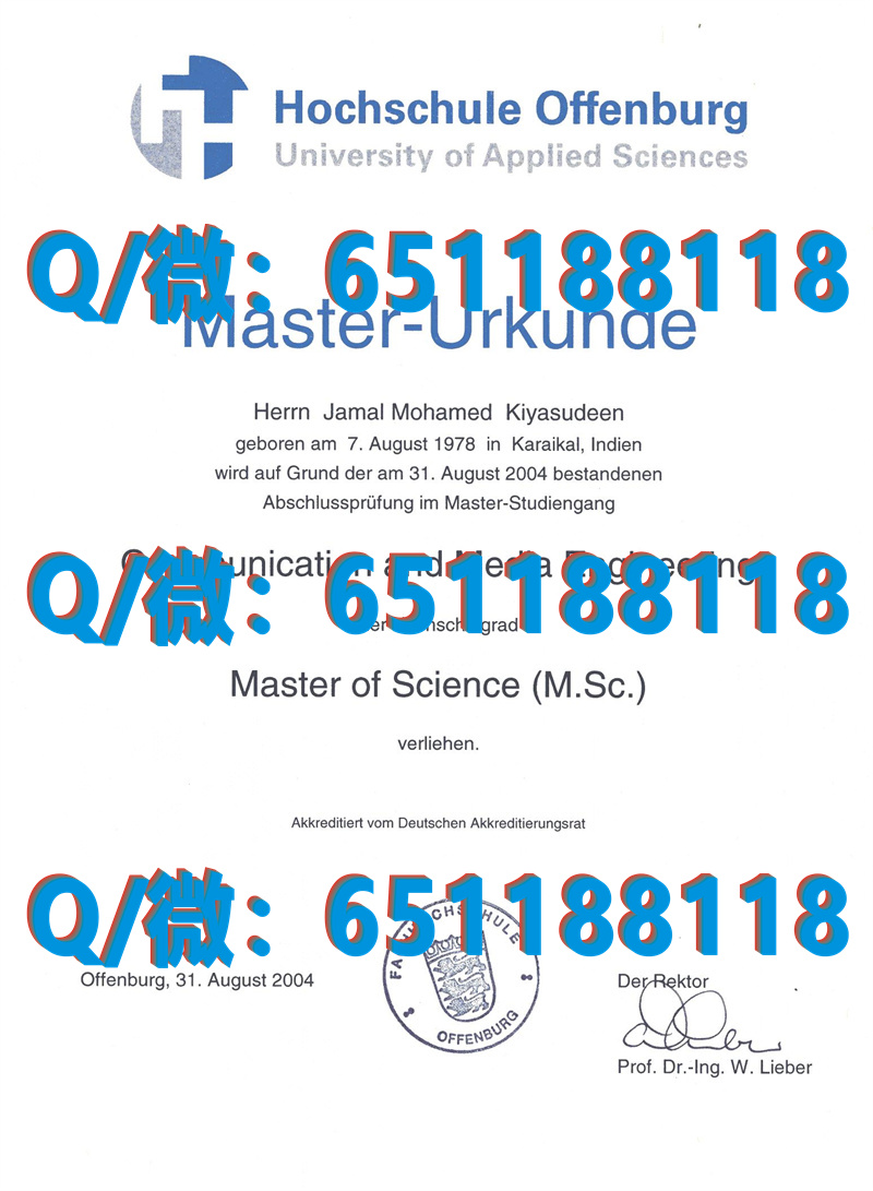 德国曼海姆大学（毕业证、文凭、成绩单、认证入网）_德国毕业证怎么查真假_德国学历证书