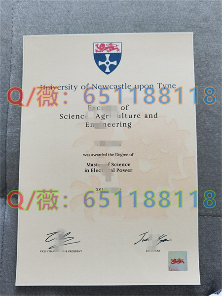 纽卡斯尔大学.jpg