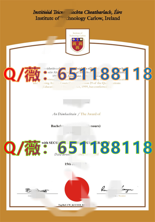 爱尔兰卡罗理工学院1.jpg