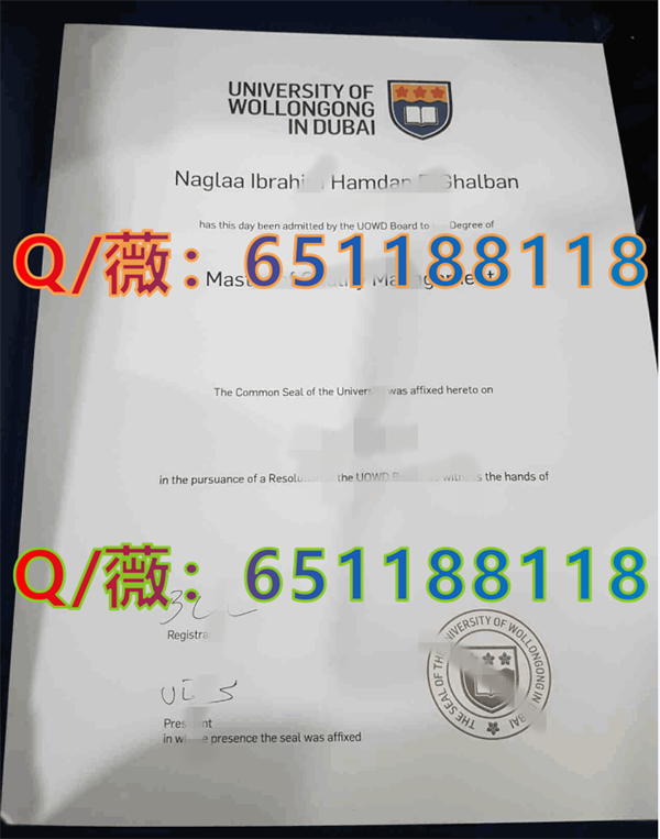 迪拜伍伦贡大学.png