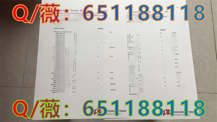 荷兰应用科学大学鹿特丹学院_副本.png