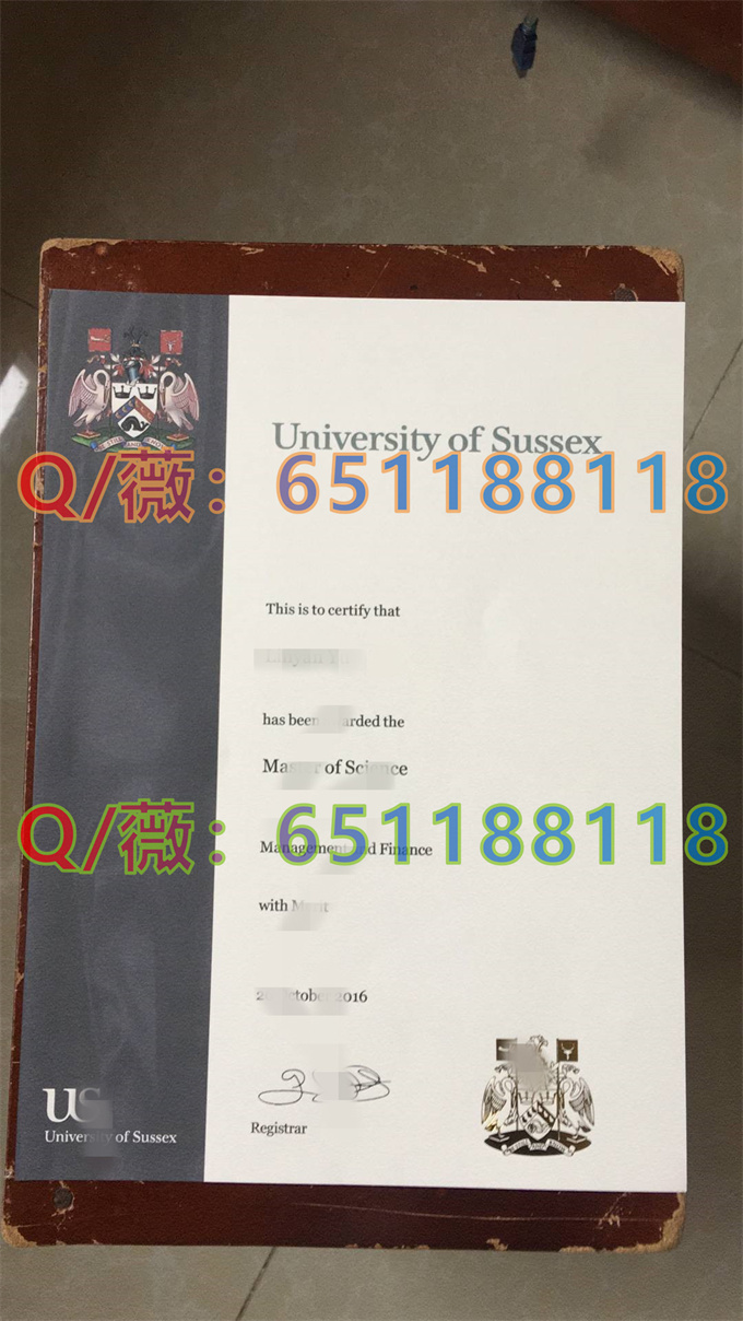 萨塞克斯大学_副本.jpg