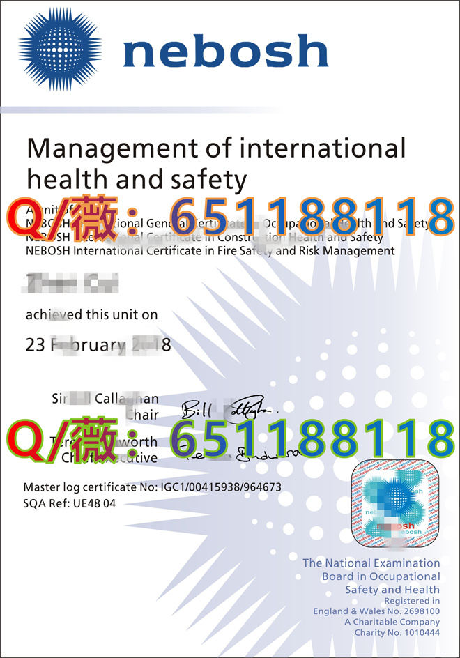 国际通用职业安全与健康证书nebosh IGC2_副本.jpg