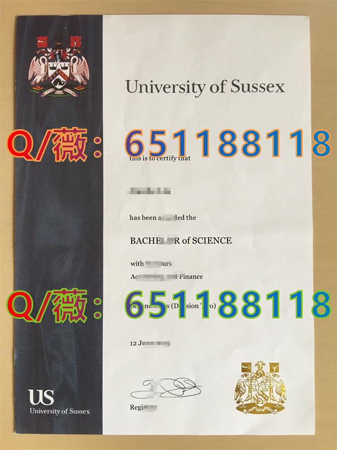 萨塞克斯大学_副本.jpg