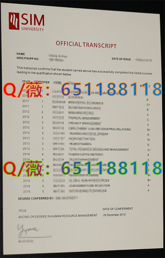 新加坡管理学院成绩单_副本.jpg