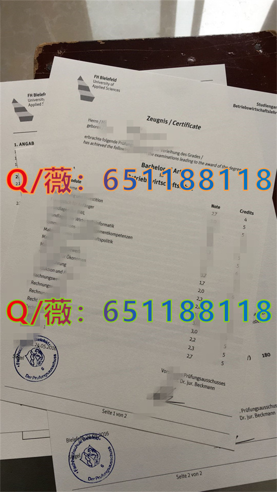 大阪教育大学申请条件_大阪大学教育学_大阪教育大学毕业证图片|大阪教育大学文凭样本