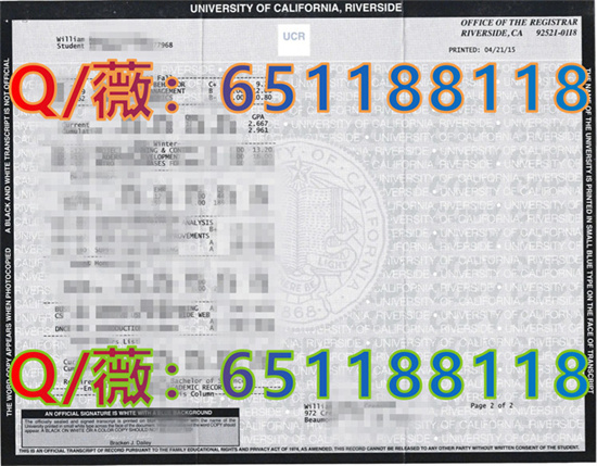 康卡迪亚大学毕业证图片|康卡迪亚大学文凭样本_康考迪亚大学就读感受_康卡迪亚大学世界排名多少