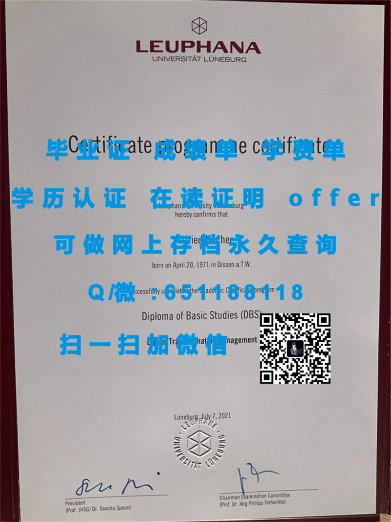 汉堡大学（定制毕业证、文凭、成绩单、认证入网、OFFER）_汉堡有培训吗_汉堡大学毕业证