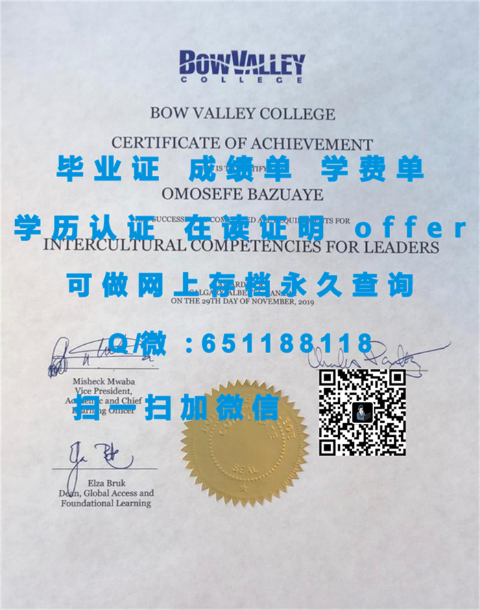 尼皮辛大学（定制毕业证、文凭、成绩单、认证入网、OFFER）