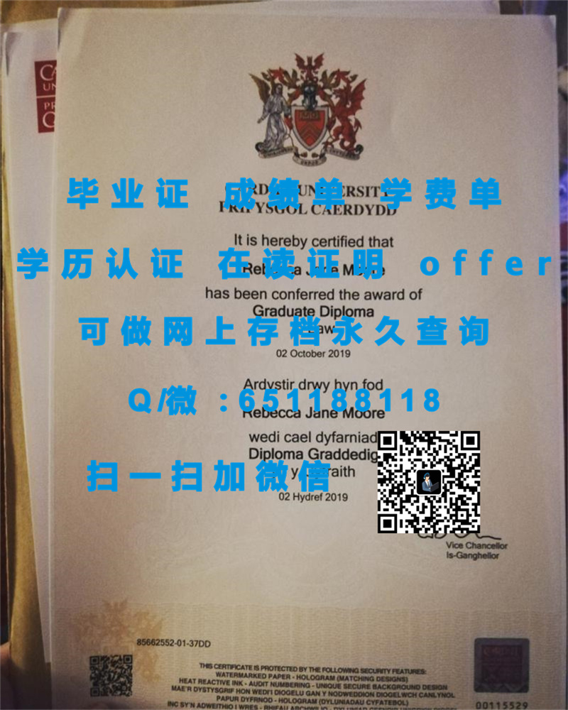 约克大学毕业证文凭样本（定制毕业证、文凭、成绩单、认证入网、OFFER）