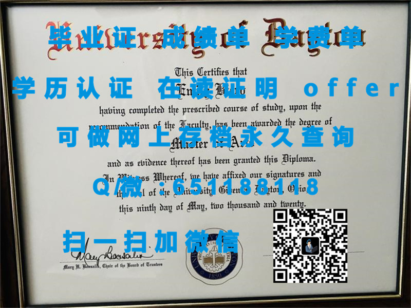 《基于智利大学学位证的独特教育成就与未来职业发展展望》