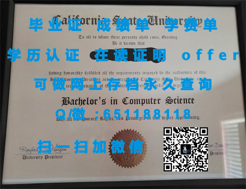 《在北科罗拉多大学学位之旅上的新篇章：探索学术成就与未来可能》