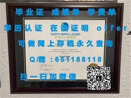 《首尔大学学历认证：权威解析毕业证含金量与求职优势》