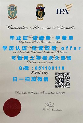 《揭秘萨里大学毕业证文凭成绩单样本：权威认证背后的真实内幕》