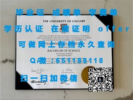 《揭秘都柏林理工学院：毕业证文凭成绩单样本大公开》