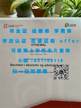 《诺丁汉特伦特大学文凭：开启艺术与设计领域的璀璨未来》