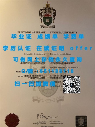 《探索艺术巅峰！揭秘安大略艺术设计学院文凭背后的创意传奇》