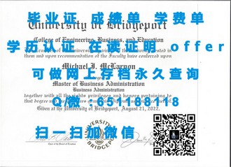 《北大西洋学院文凭：揭秘高含金量学历背后的名校魅力》