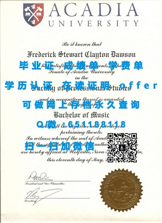 《马努考理工学院文凭：开启你的未来职业新篇章》