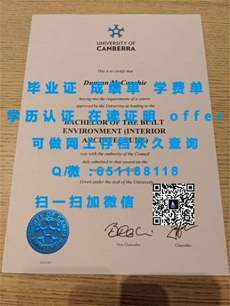 《安大略艺术设计学院文凭：开启视觉艺术新纪元的黄金钥匙》