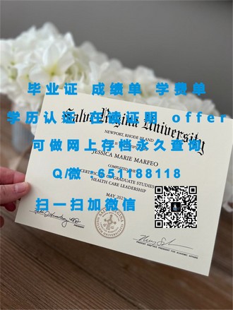 《北大西洋学院文凭：开启国际教育新篇章的秘密武器》