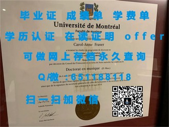 《惠灵顿理工学院文凭：开启国际教育新篇章的秘密武器》