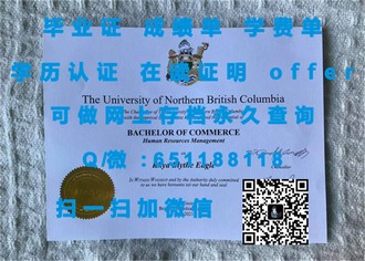 《惠灵顿维多利亚大学文凭：开启职业生涯的全球通行证》