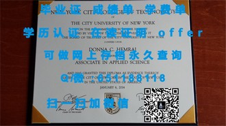 《多伦多大学文凭：开启你职业生涯的黄金钥匙》