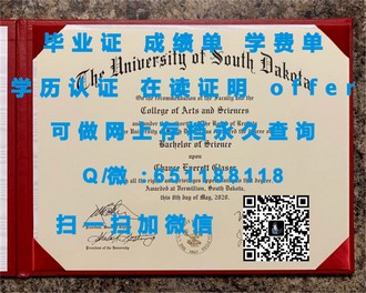 阿尔伯塔大学文凭：解锁国际教育新高度的权威凭证
