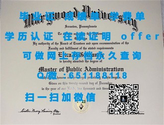 梅努斯大学文凭：解锁国际教育新视野的秘密钥匙
