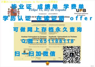 《都柏林大学圣三一学院文凭：开启全球精英教育之旅的黄金钥匙》