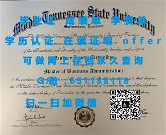 《爱尔兰格里菲斯学院文凭：开启国际教育新篇章的黄金钥匙》