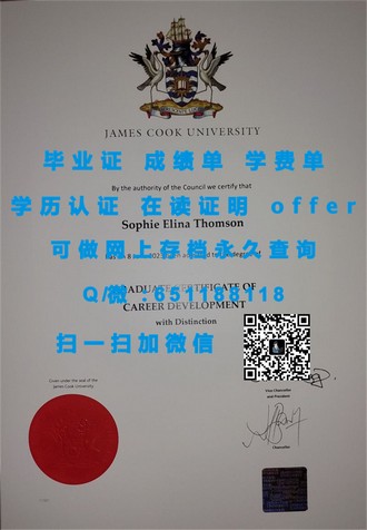 《利莫瑞克理工学院文凭：开启国际学术之旅的黄金钥匙》