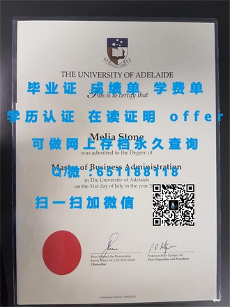 《南澳大学文凭：解锁国际教育的大门，开启全球职业新篇章》