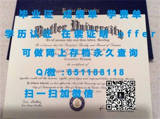 《南昆士兰大学文凭：开启你的国际化学术旅程》