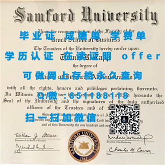 《华威大学文凭：成就你的全球职场通行证，开启卓越职业生涯之旅》