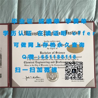 《都柏林理工学院文凭：开启全球认可的学术之旅》