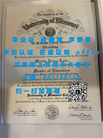 利默里克大学文凭：揭秘全球认可的教育品质与就业优势