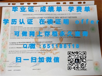 《斯旺西大学文凭：揭开英国高等学府的教育成就与就业前景》