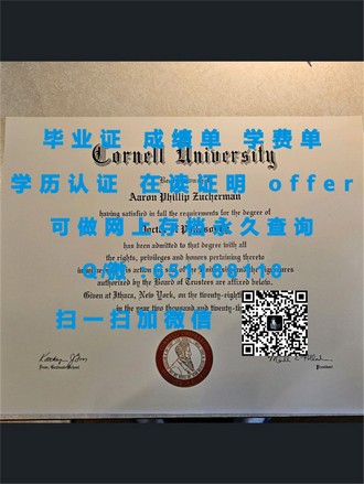 《利兹城市大学文凭：开启职场黄金钥匙，成就未来无限可能》