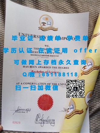 《巴斯思帕大学文凭：开启你的视觉革命与媒介深渊之旅》