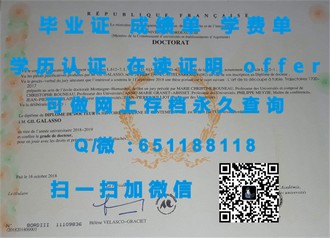 《英国开放大学文凭：开启全球教育新视野的通行证》