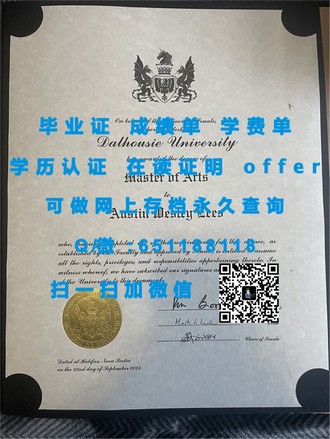 《奥塔哥理工学院文凭：开启国际职场精英之路的钥匙》