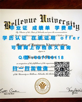 《惠灵顿维多利亚大学文凭：开启国际化教育新篇章的敲门砖》