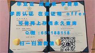 新西兰林肯大学文凭：全球认可的教育品质，开启你的未来之路