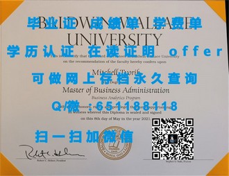 《梅努斯大学文凭：开启你的国际化教育之旅》