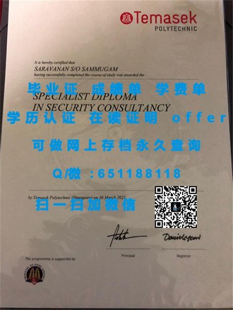 《利莫瑞克理工学院文凭：开启全球就业新篇章的秘密武器》