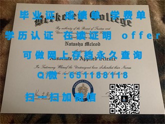 《爱尔兰卡罗理工学院文凭：开启你的国际学术之旅》