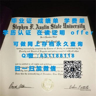 《兰卡斯特大学文凭：开启职业生涯的黄金钥匙，成就你的未来辉煌》