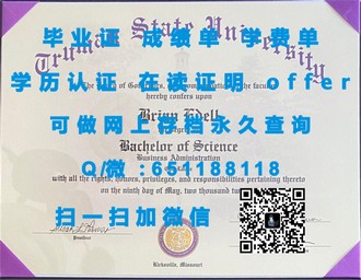 《伦敦学院文凭：揭秘这座学术殿堂的文凭魅力与全球认可度》